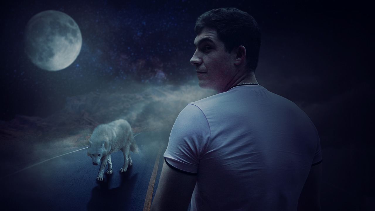 Night Wolf Dangerous Beast Moon  - LisaChe / Pixabay