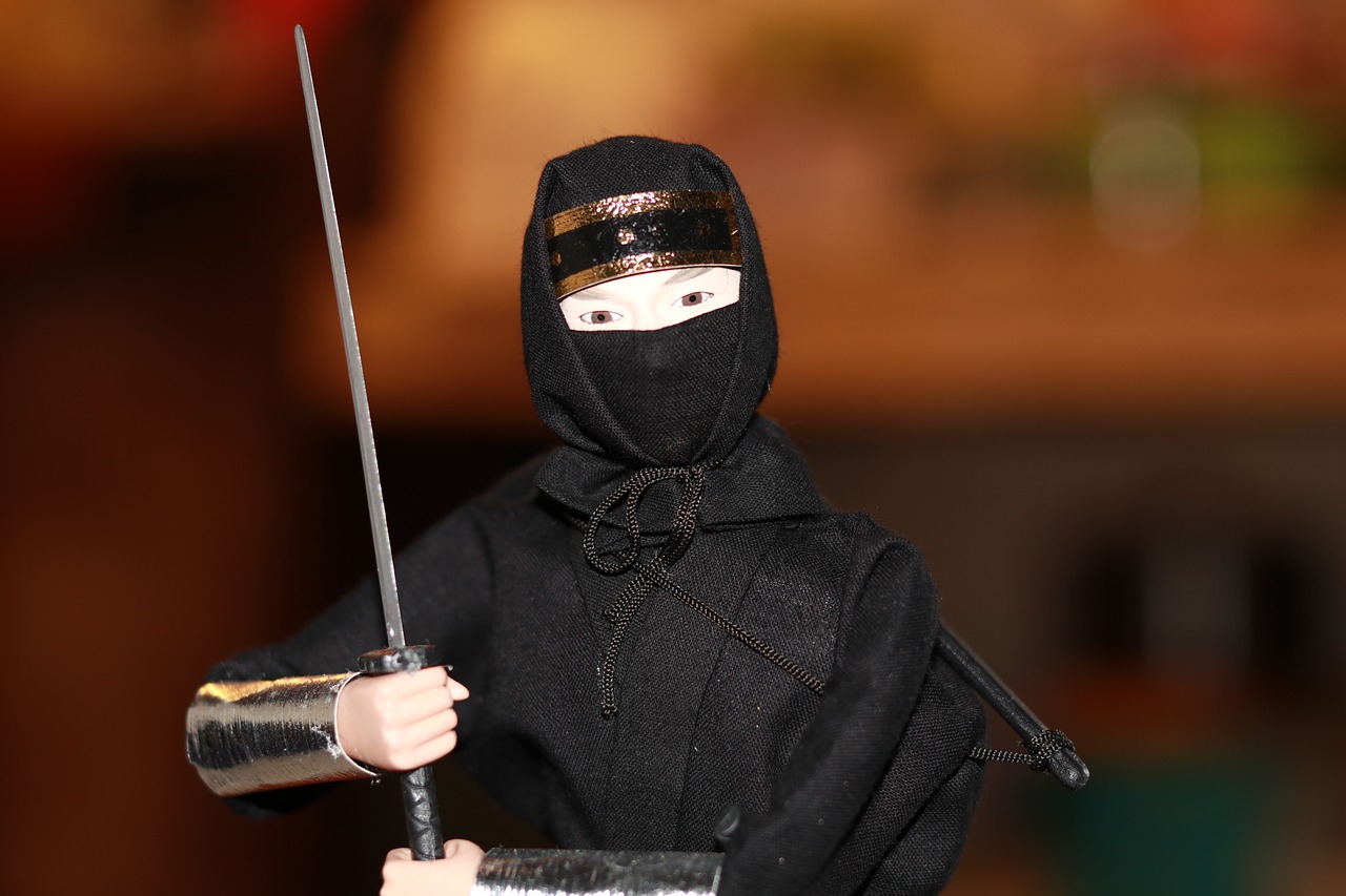 Ninja Japan Sword Blade Japanese  - jeffbalbalosa / Pixabay