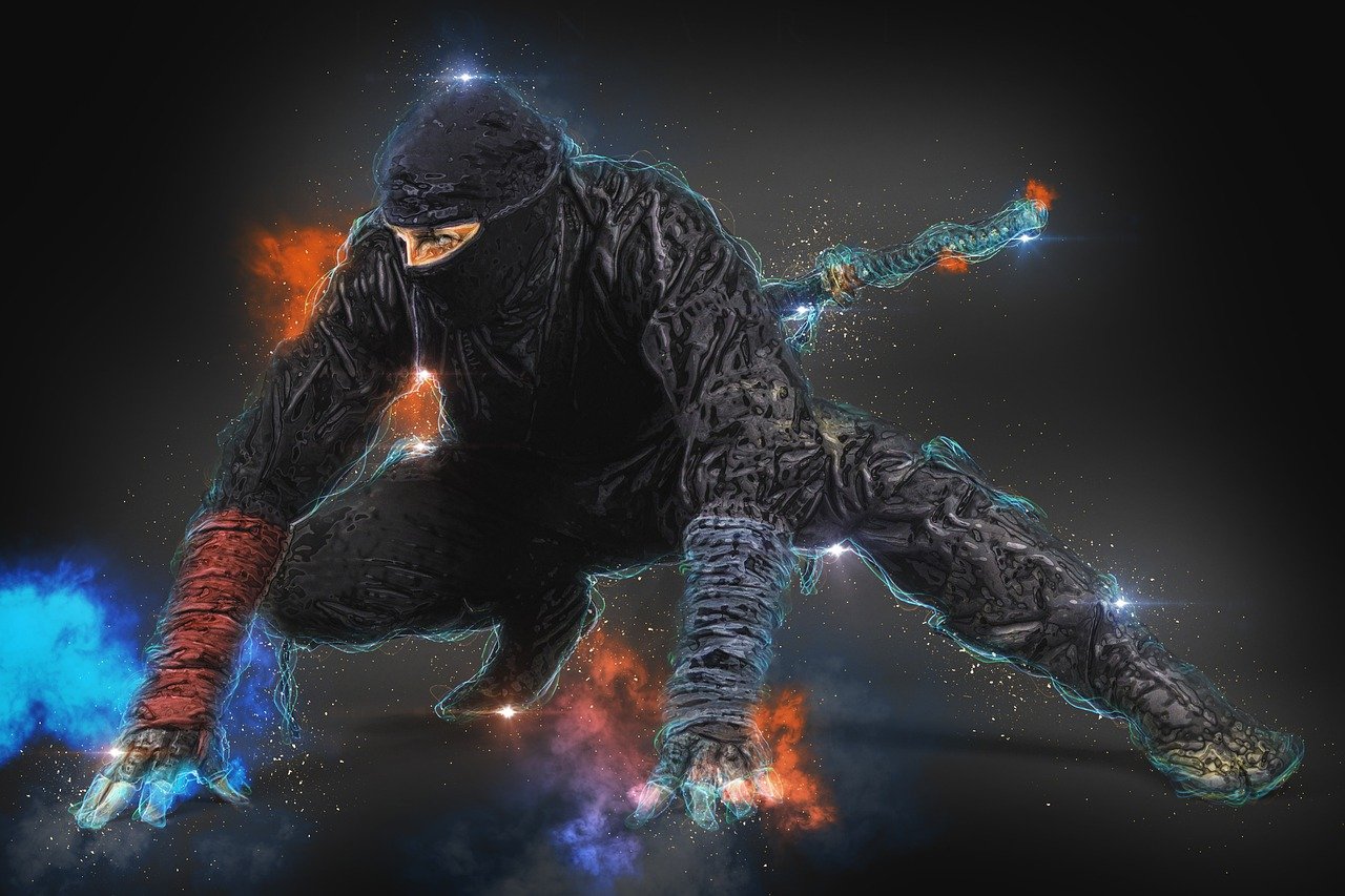 Ninja Man Male Human Person - ArtTower / Pixabay