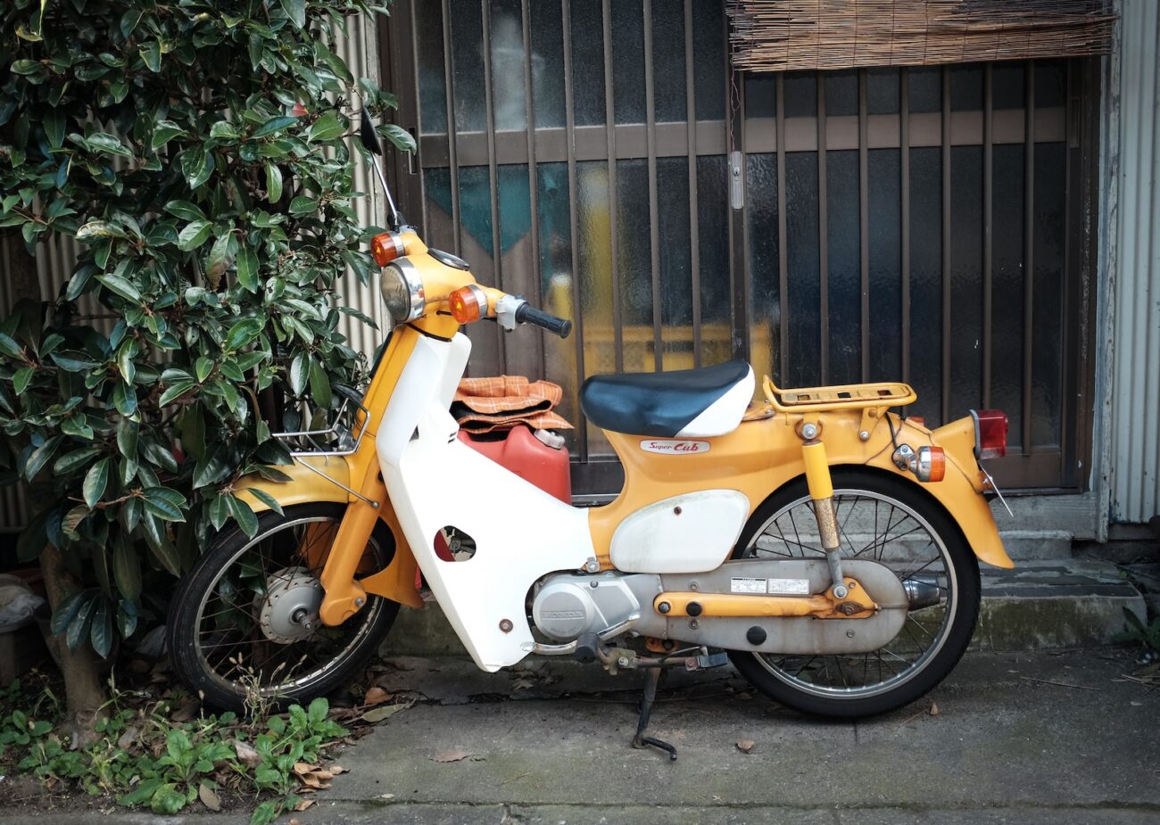 orange and white motor scooter parked beside green plants