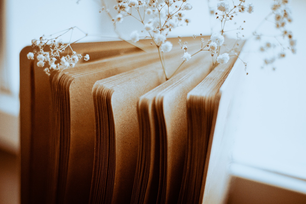 Notepad Window Sill Gypsophila  - OlgaVolkovitskaia / Pixabay