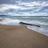 Ocean Waves Sand Coast Driftwood  - KANENORI / Pixabay