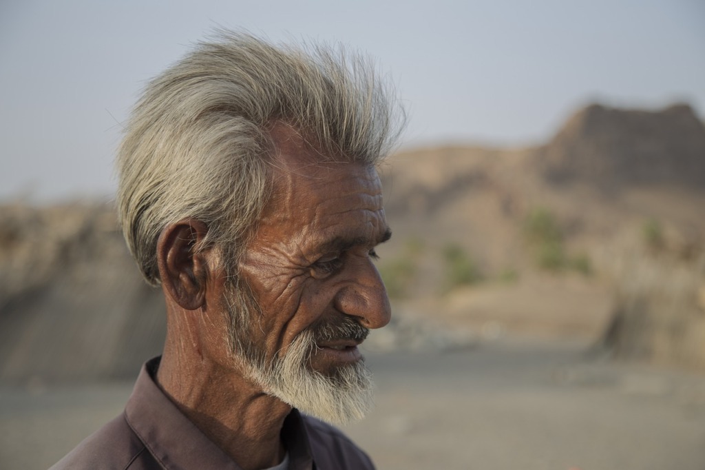Old Man Face Portrait Man Senior  - mostafa_meraji / Pixabay