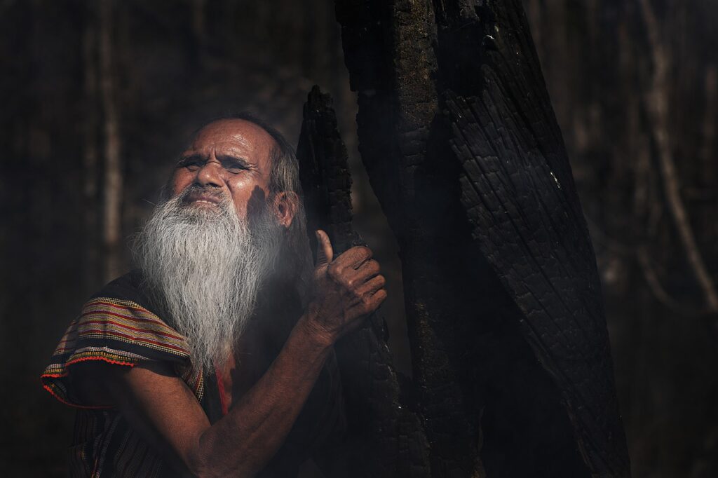 Old Man Forest Portrait Beard  - trilemedia / Pixabay