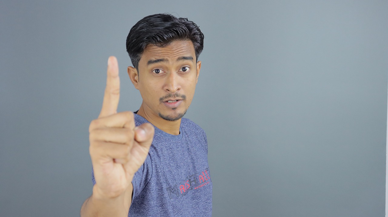 One Finger Man Gesture Male  - ITECHirfan / Pixabay
