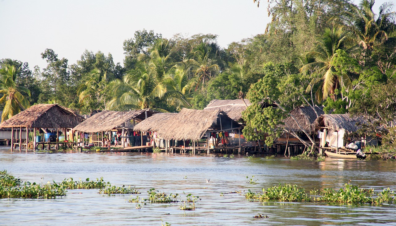 Orinoco Venezuela River Hut  - neillooe / Pixabay