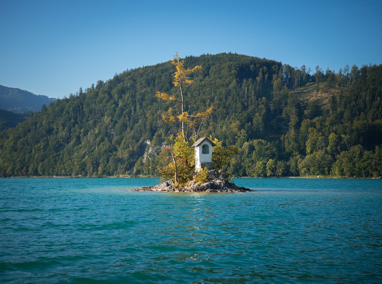Ox Cross Lake Wolfgang Salzkammergut  - LNLNLN / Pixabay