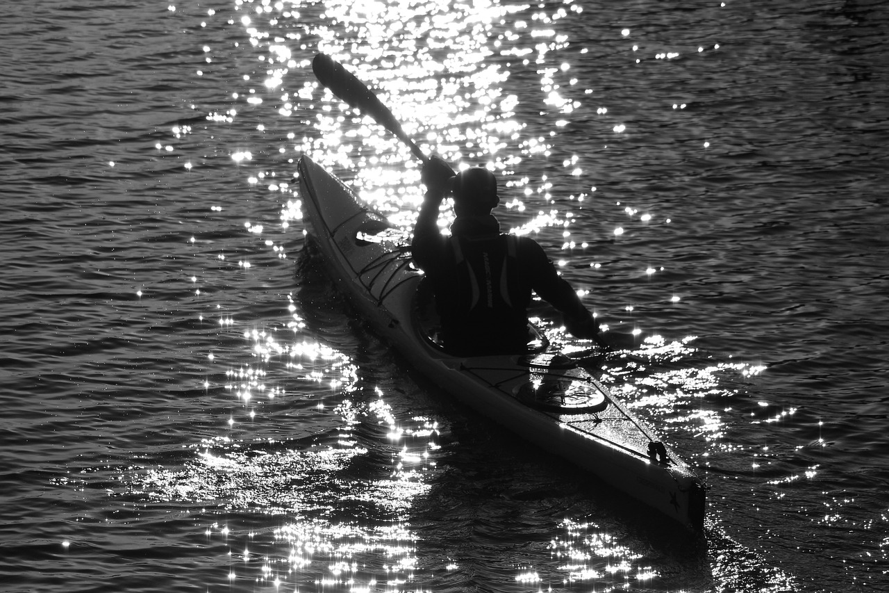 Paddle Paddle Boat Water Canoe  - KRiemer / Pixabay