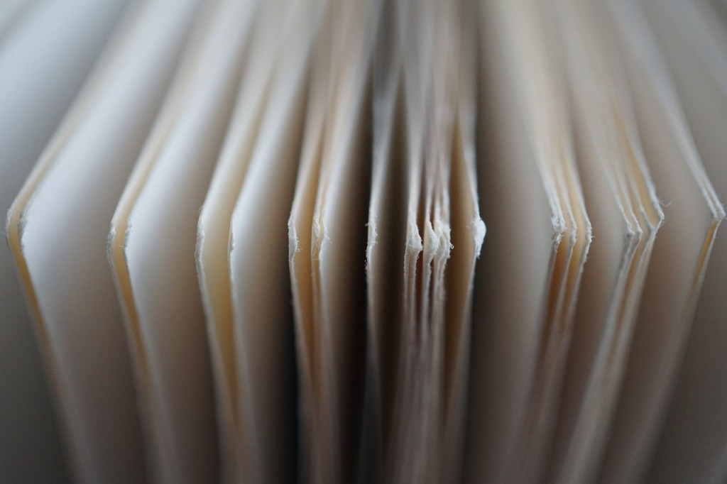 Pages Stories Books Paper  - Kranich17 / Pixabay