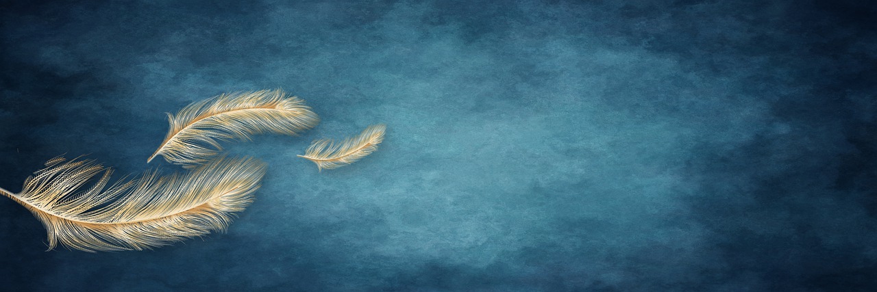 Paintings Feathers Water Depth  - jiangli18207338996 / Pixabay