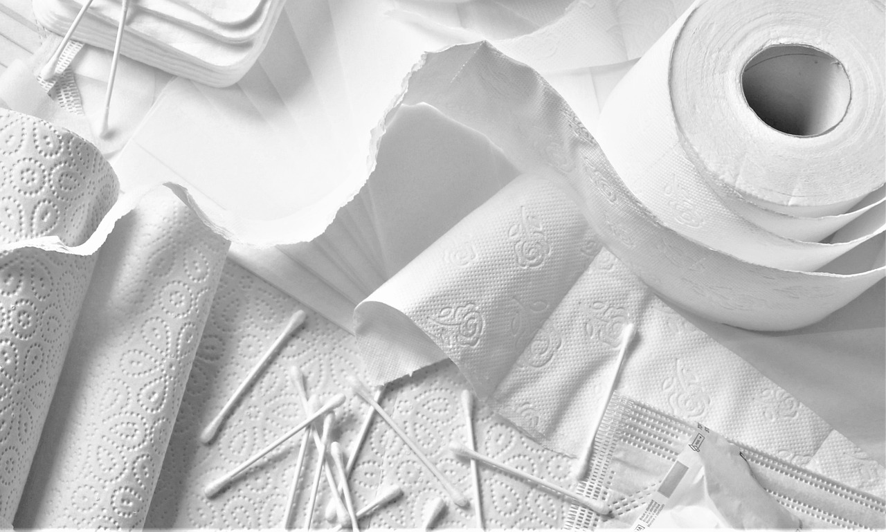 Paper White Roll Hygiene - pasja1000 / Pixabay
