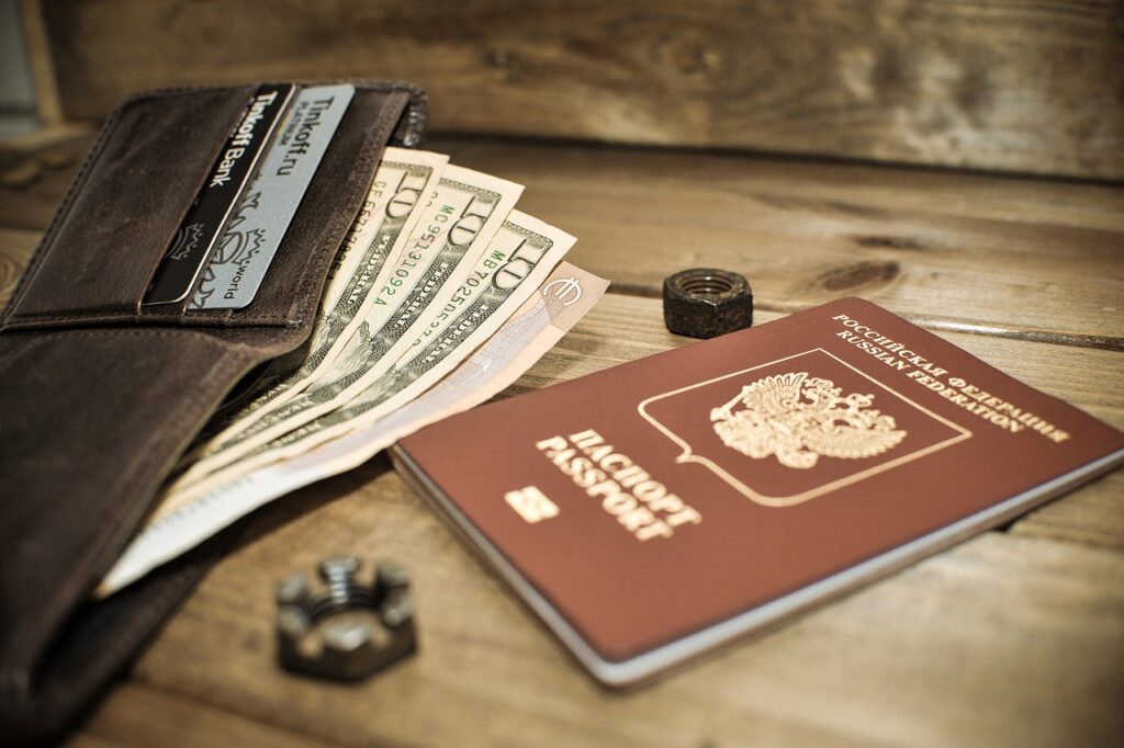 Passport Wallet Money Finances  - Chebanoo_Natasha / Pixabay