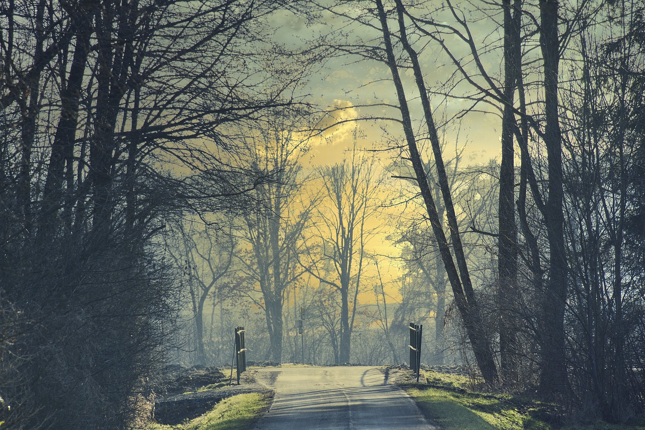 Path Nature Trees Rural Outdoors  - StefanPrutsch / Pixabay