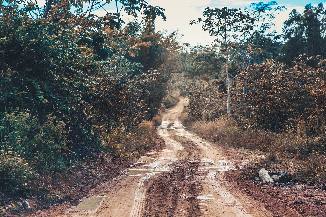 Path Road Walking Nature Forest  - MelquizedequeSousa / Pixabay