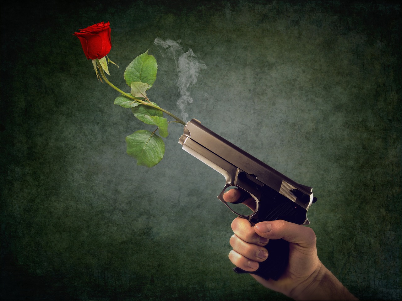 Peaceful Non Violent Rose Hand  - ThomasWolter / Pixabay
