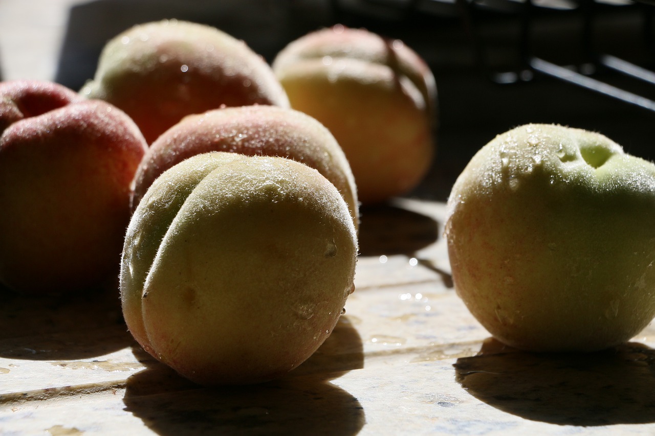 Peaches Fruit Drops Water Food  - NigelCohen / Pixabay