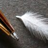 Pen Feather Lightweight Accesory  - Straughan / Pixabay