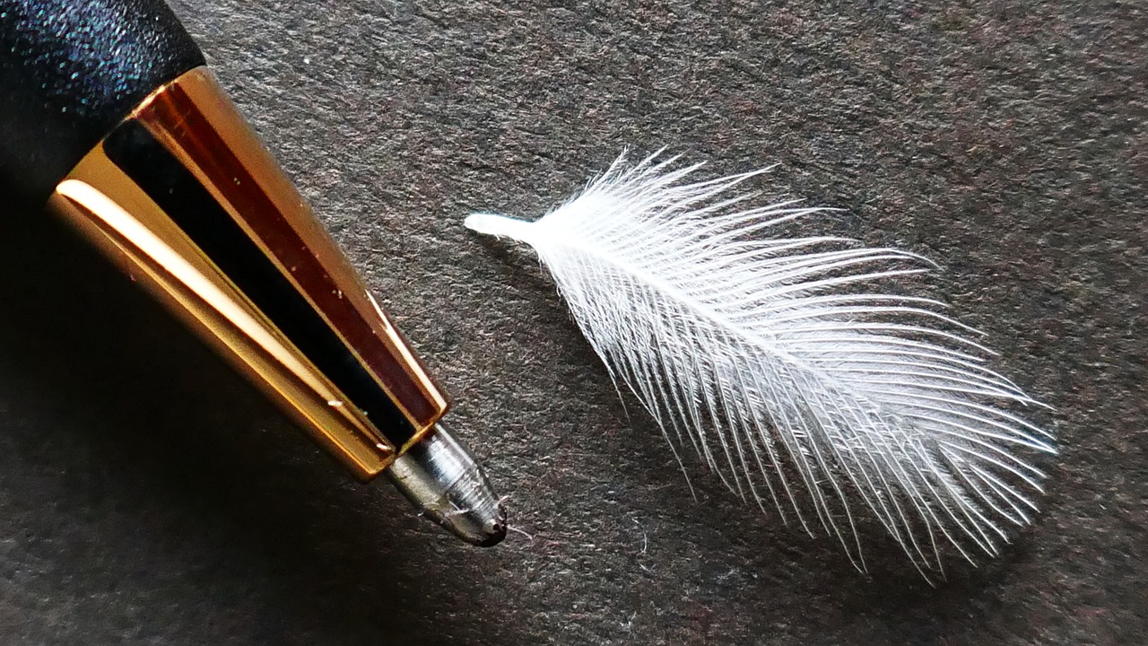 Pen Feather Lightweight Accesory - Straughan / Pixabay
