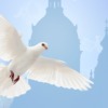 Pentecost Faith Dove Holy Spirit  - geralt / Pixabay