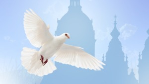 Pentecost Faith Dove Holy Spirit - geralt / Pixabay