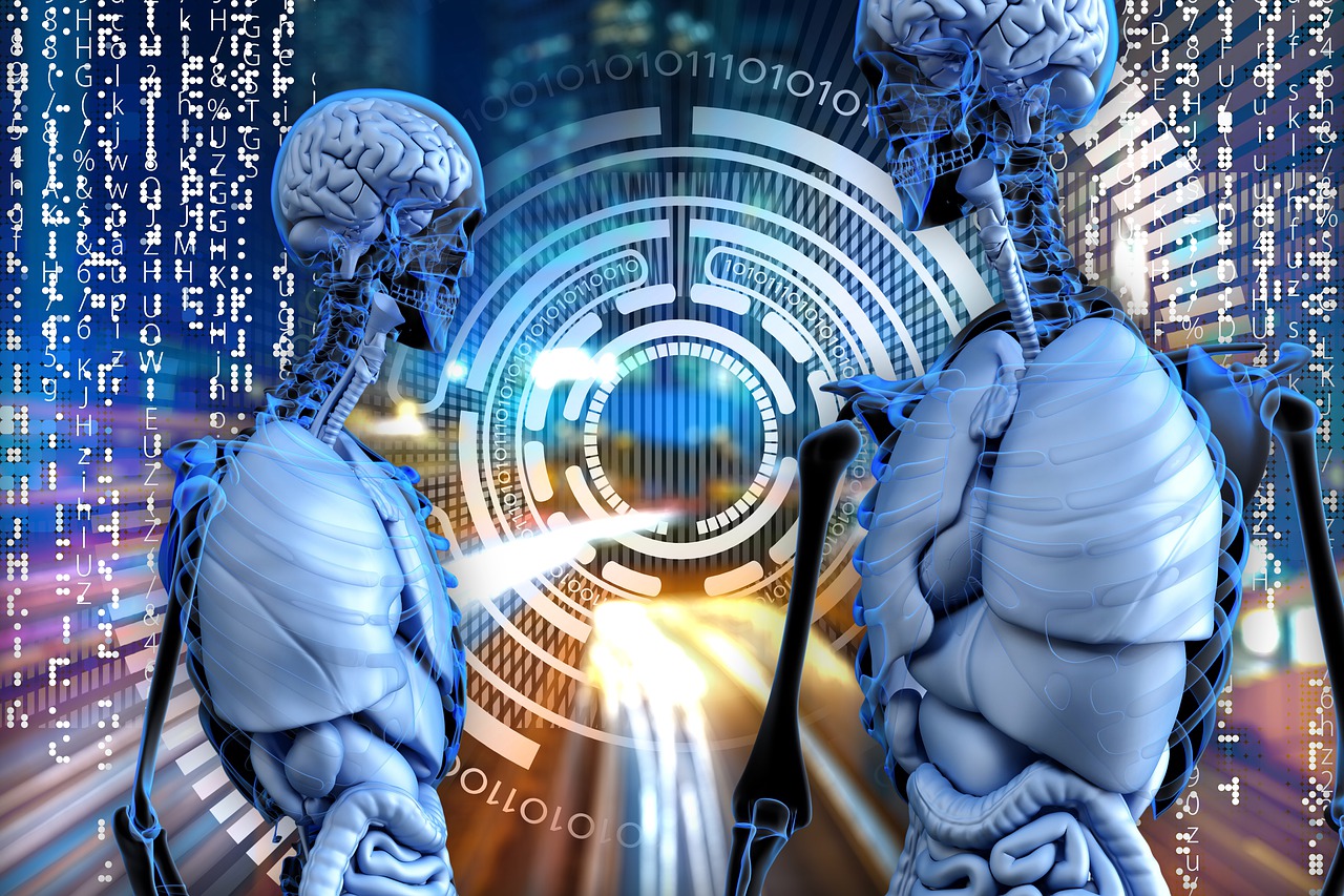 People Brains Organs Skeletons  - geralt / Pixabay