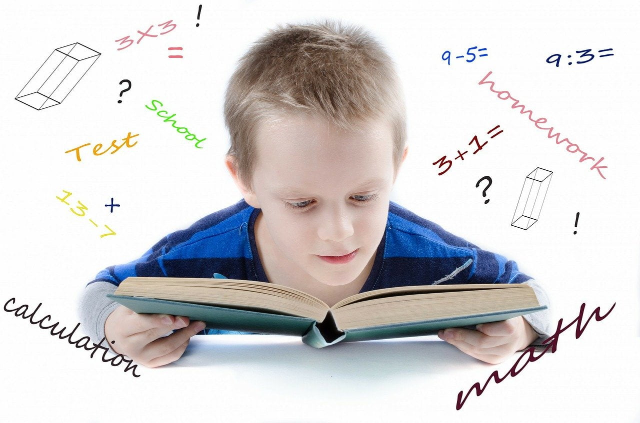 People Child School Genius  - PublicDomainPictures / Pixabay