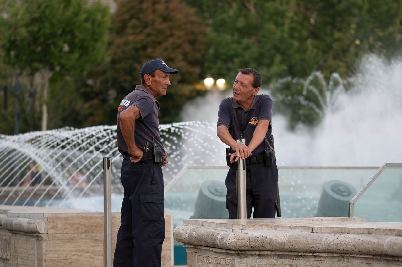 People Men Uniforms Security  - icsilviu / Pixabay