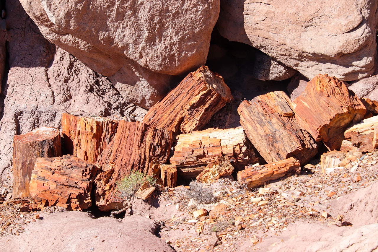 Petrified Forest Arizona Usa - aiamkay / Pixabay