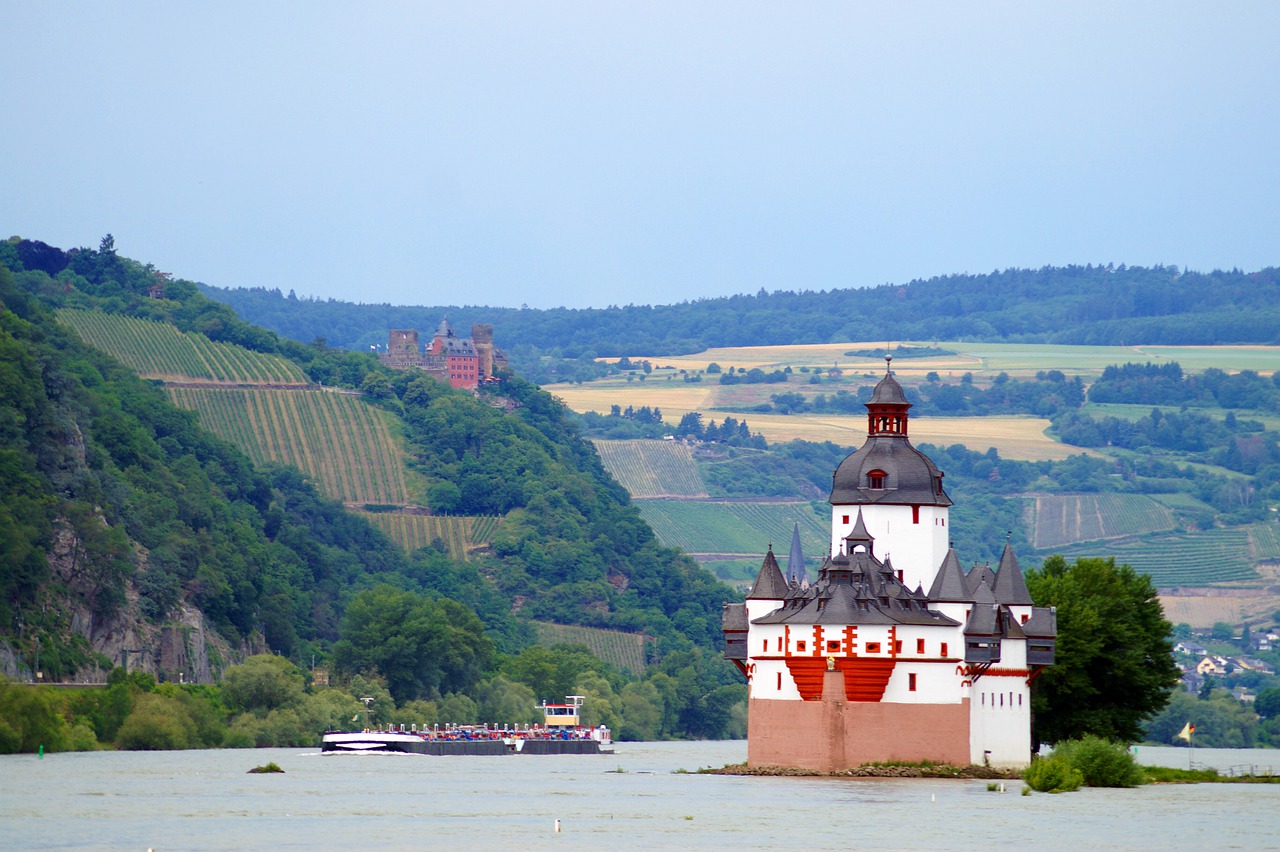 Pfalzgrafenstein Castle Island River - Bundschatten / Pixabay