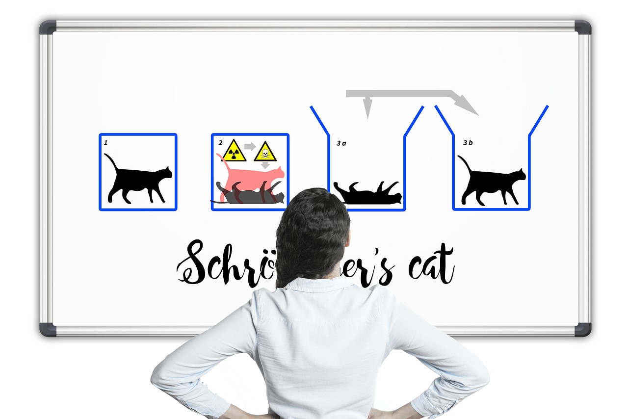 Physics Schr%c%bdinger S Cat  - geralt / Pixabay