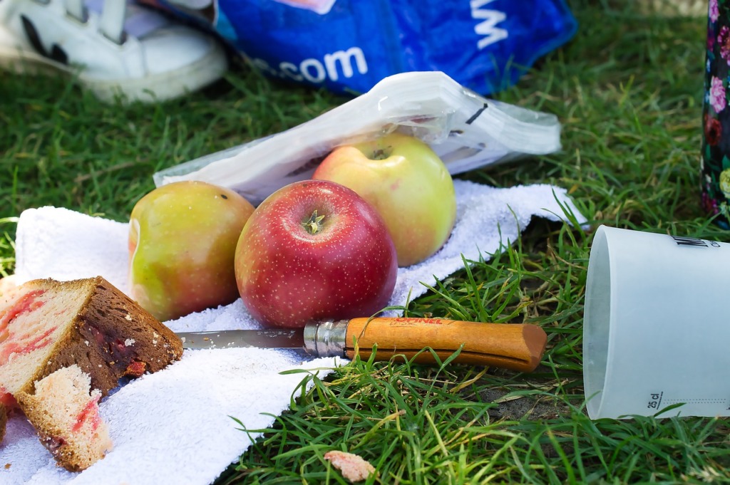 Picnic Apples Food Meal Knife  - jeanlouisservais / Pixabay