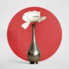 Pion Flower Vase Japanese Flag  - avalontree / Pixabay