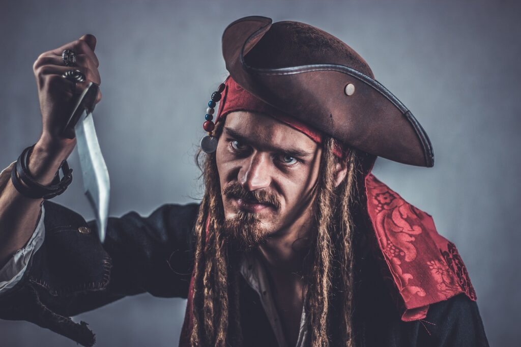 Pirate Seafarer Captain Sailors  - sik-life / Pixabay