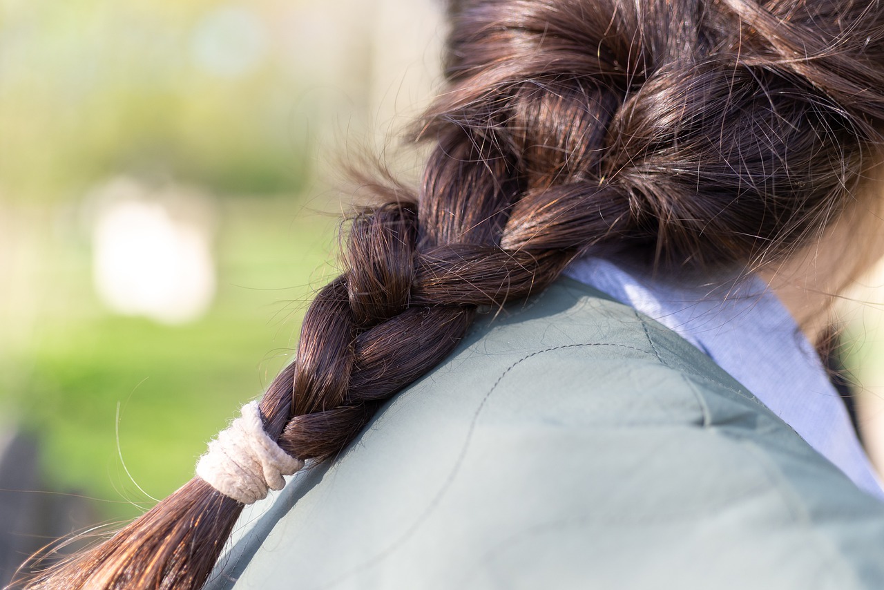 Plait Woven Hair Hairstyle Woman  - wal_172619 / Pixabay