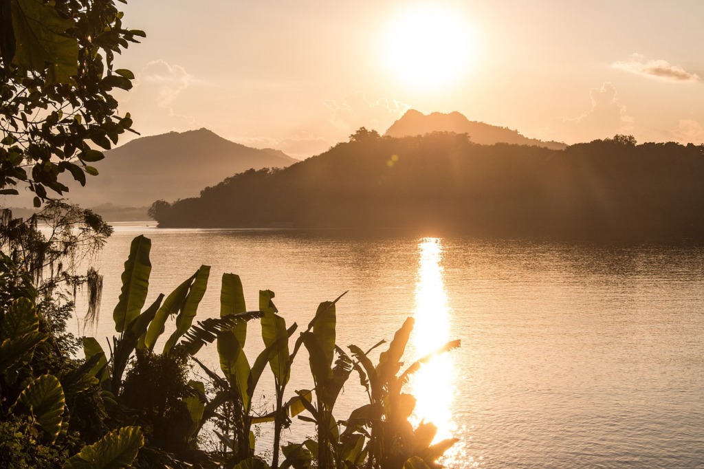Plant Tropical Sunset Evening Laos  - MoreToTheShell / Pixabay