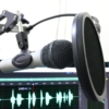 Podcast Audio Recording Microphone  - florantevaldez / Pixabay