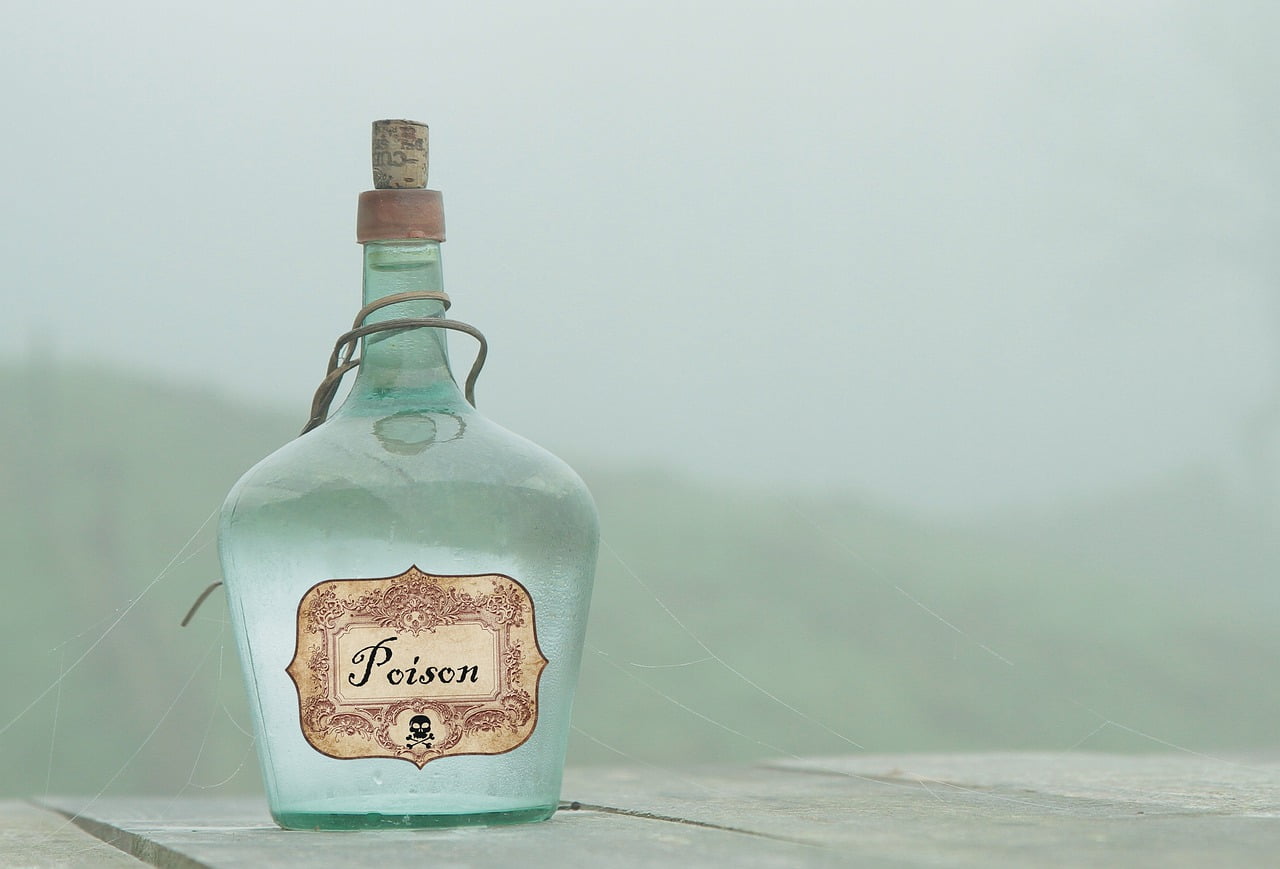 Poison Toxic Skull Flask Bottle  - Tumisu / Pixabay