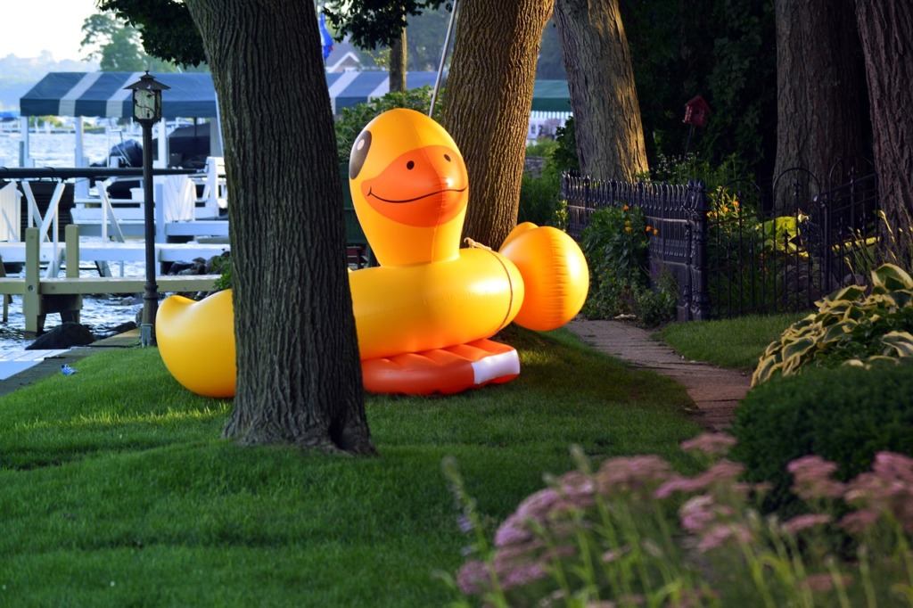 Pool Float Floaty Animal Duck  - islandworks / Pixabay