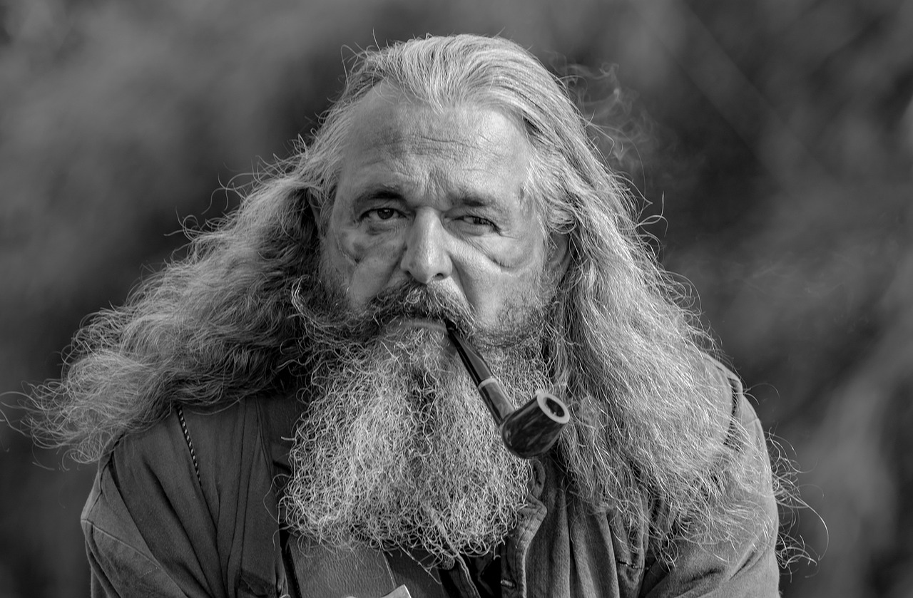 Portrait Man Beard Person Adult  - JStolp / Pixabay