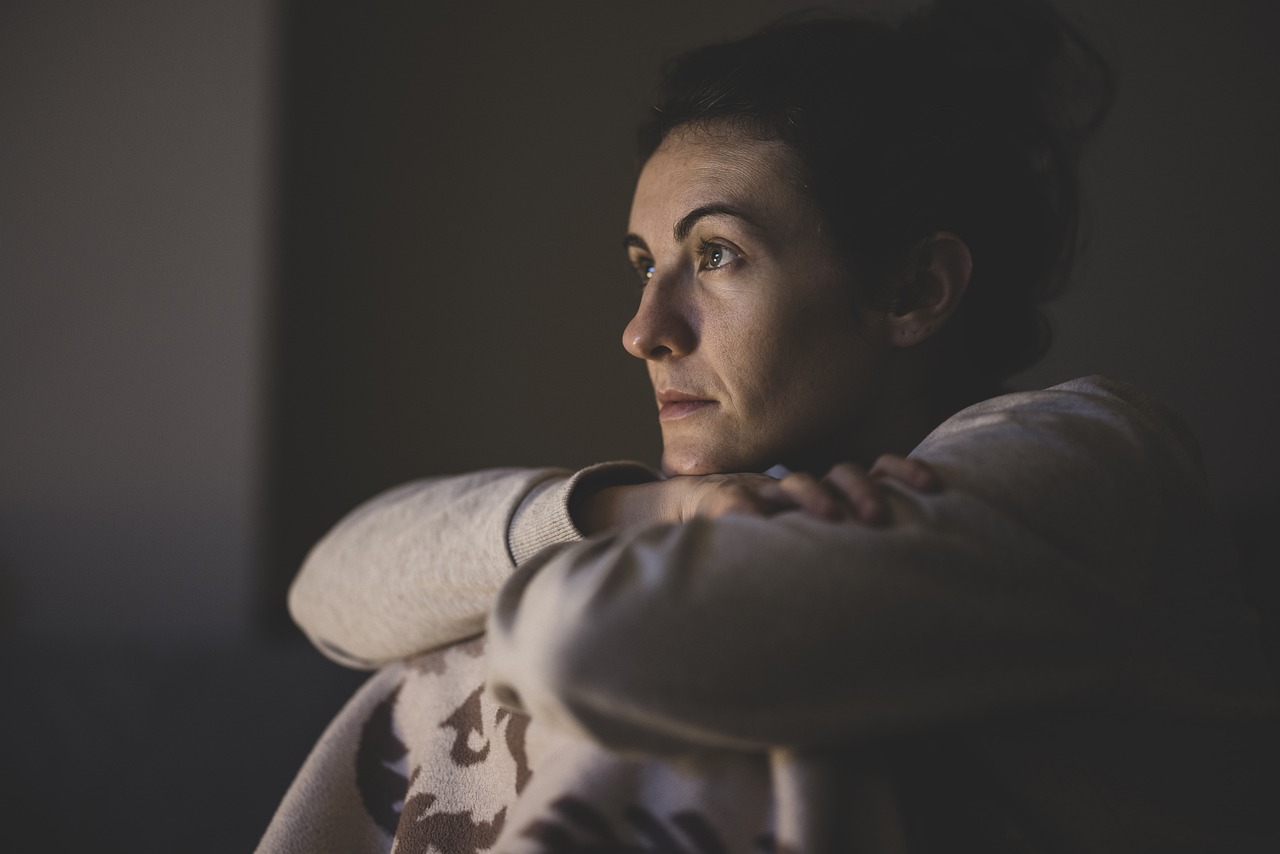 Portrait Woman Watch Watching Tv  - Engin_Akyurt / Pixabay
