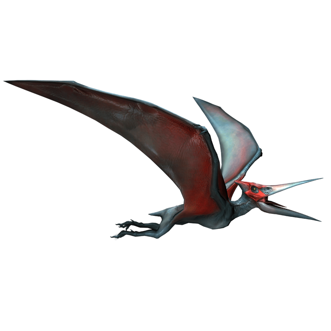 Pteranodon Dinosaurs Ancient Fossil  - 4040952 / Pixabay