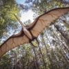 Pterosaur Reptile Extinct  - mrganso / Pixabay