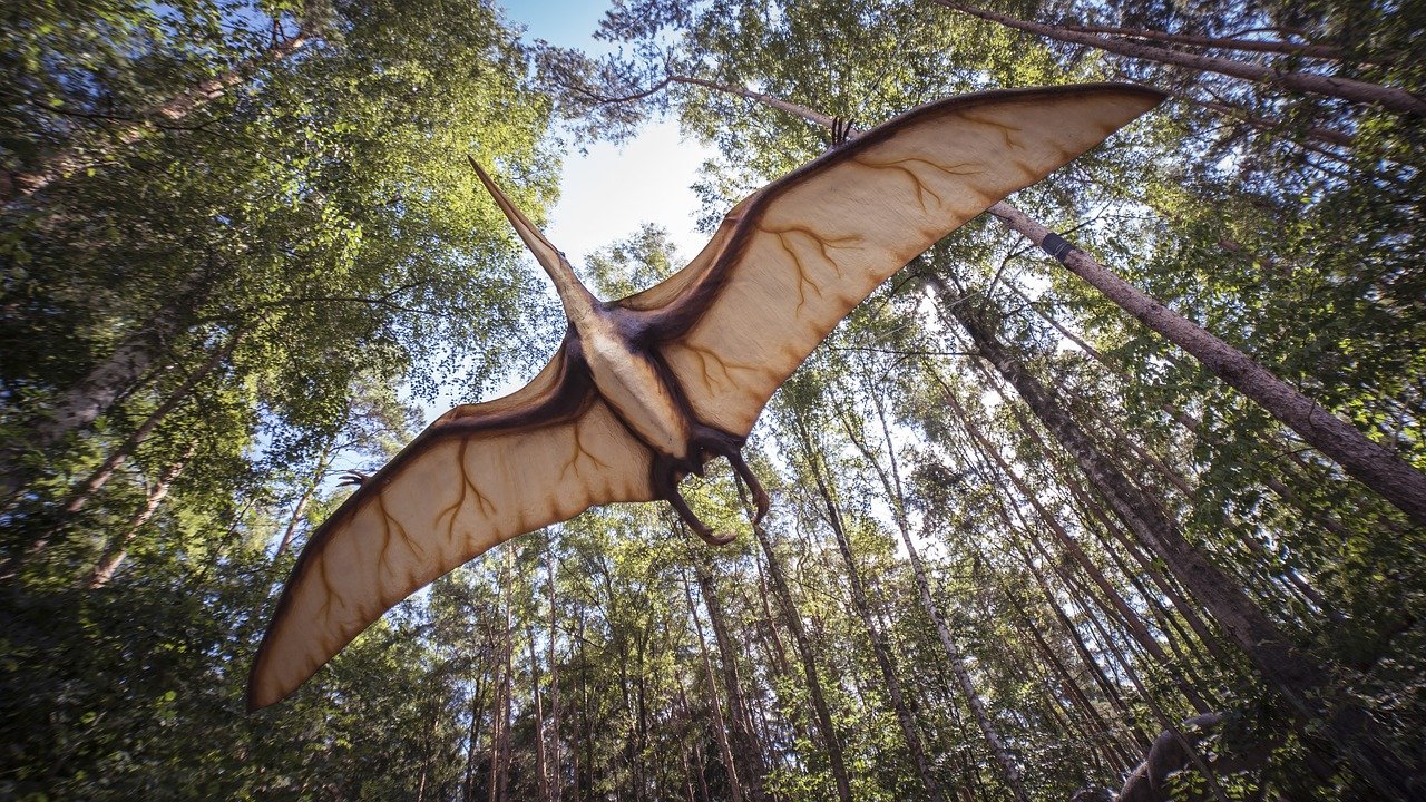 Pterosaur Reptile Extinct  - mrganso / Pixabay