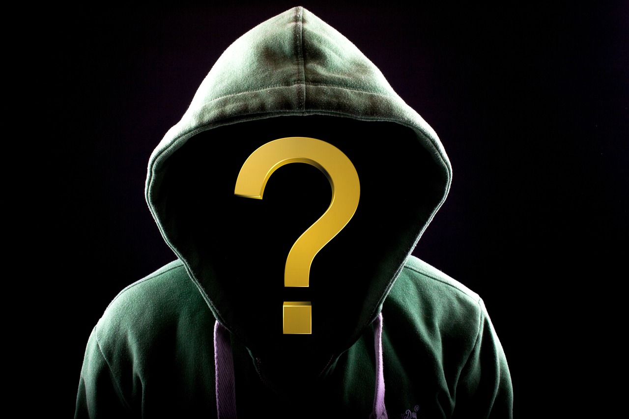Question Mark Mystery Hoodie Enigma  - Artie_Navarre / Pixabay