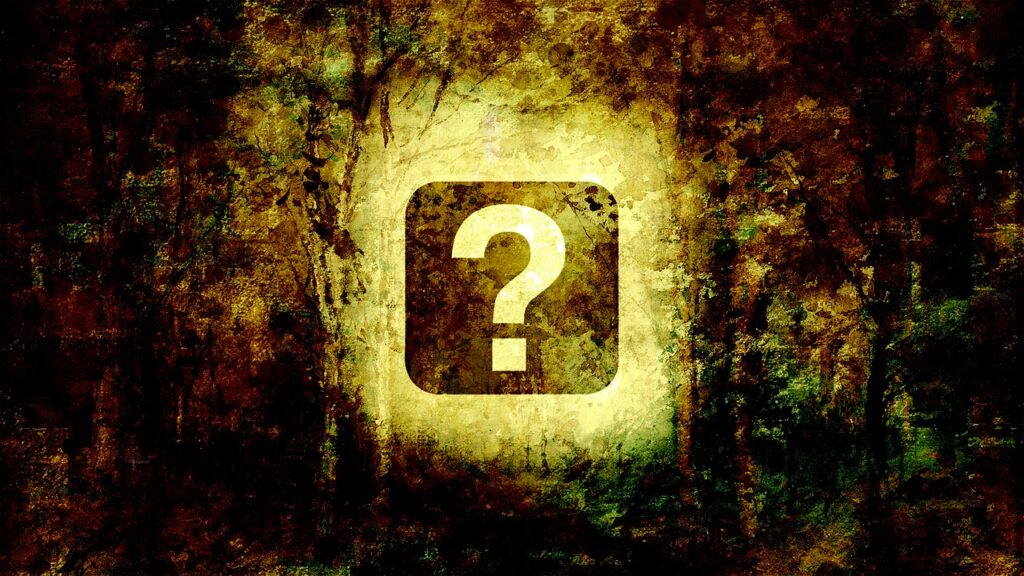 Question Mark Question Dramatic  - chenspec / Pixabay
