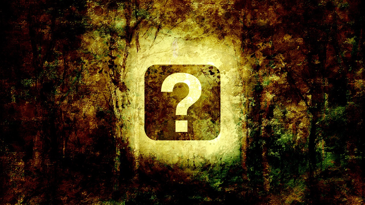 Question Mark Question Dramatic - chenspec / Pixabay