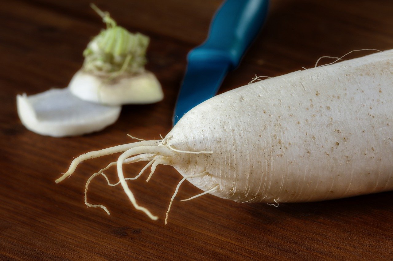 Radish Knife Vitamins Bio Cut  - fotoblend / Pixabay