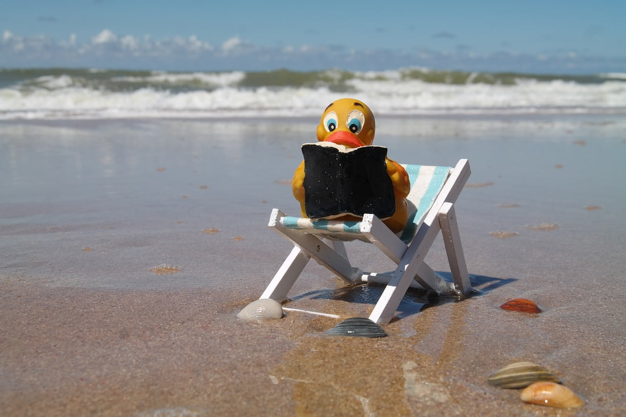 Read Duck Chair Book Water Beach - Majaranda / Pixabay