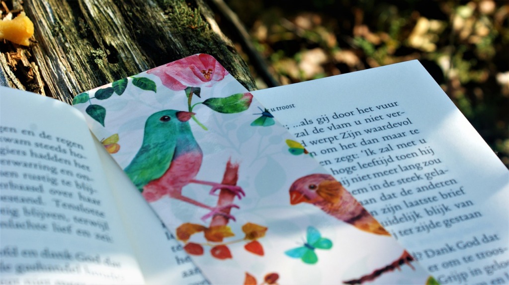 Reading Book Bookmark Read Nature  - FotoRieth / Pixabay