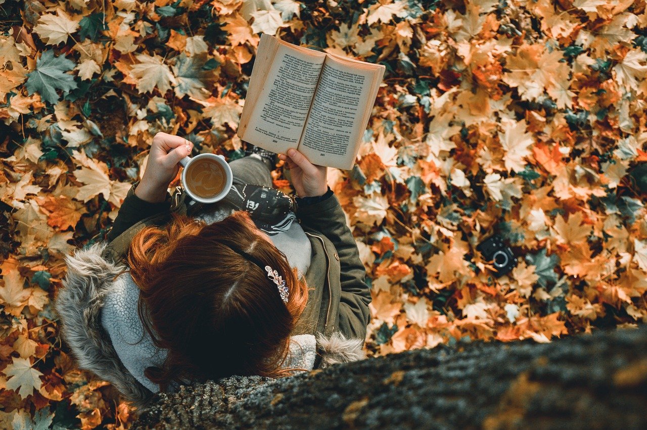 Reading Book Study Learning Woman  - GeriArt / Pixabay